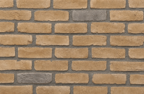 Brick Sunny